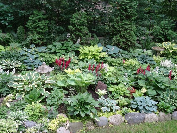 Flower Garden Ideas Wisconsin 429 best hosta garden idea images on pinterest | gardening, garden Flower Garden Ideas Wisconsin 429 best hosta garden idea images on pinterest | gardening, garden