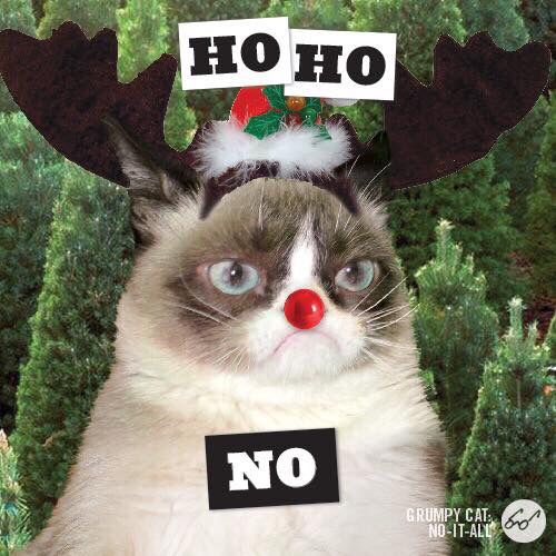 grumpy cat merry kissmyass 79349 loadtve grumpy cat merry christmas