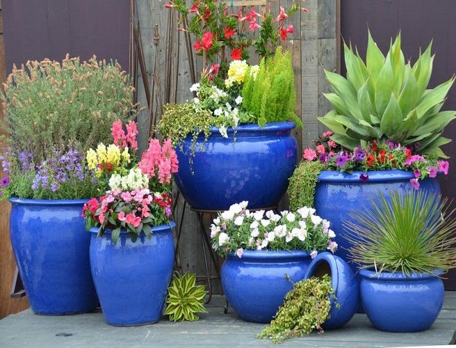 Pure White Bowl Shape Handmade by High Temperature Fired Ceramic Ceramic Home/ Garden Modern Flower Planter Pot for Planting Narcissus/ Daffodil Pure White Bowl Shape Handmade by High Temperature Fired Ceramic Ceramic Home/ Garden Modern Flower Planter Pot for Planting Narcissus/ Daffodil