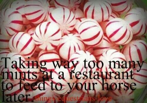 taking way too many mints at a restaurant to feed to your horse laterits funny because i really do this - Table De Cuisine Design2720 taking way too many mints at a restaurant to feed to your horse laterits funny because i really do this - Table De Cuisine Design2720