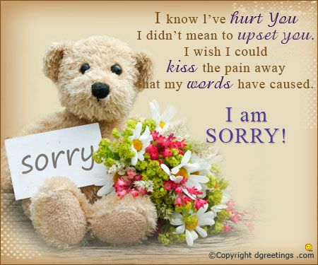 51 best Sorry Card images on Pinterest Adorable kittens, Baby cats