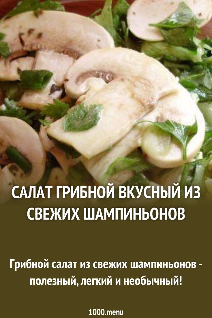 Салат Из Свежих Шампиньонов С Фото Салат Из Свежих Шампиньонов С Фото
