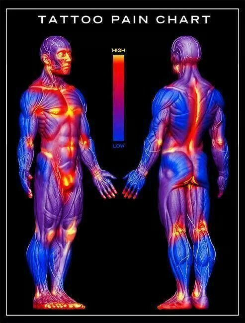 25 trending tattoo pain ideas on pinterest tattoo pain chart 25 trending tattoo pain ideas on pinterest tattoo pain chart