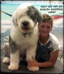 Gucci Pucci Dog Grooming Gucci Pucci Dog Grooming