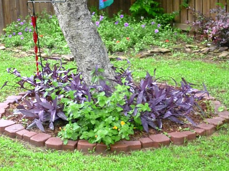 close up view of landscaping around tree in backyard just uses mulch small rocks - Flower Garden Ideas Around Tree close up view of landscaping around tree in backyard just uses mulch small rocks - Flower Garden Ideas Around Tree