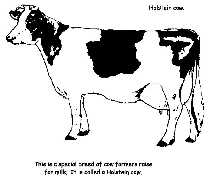 cow coloring pages