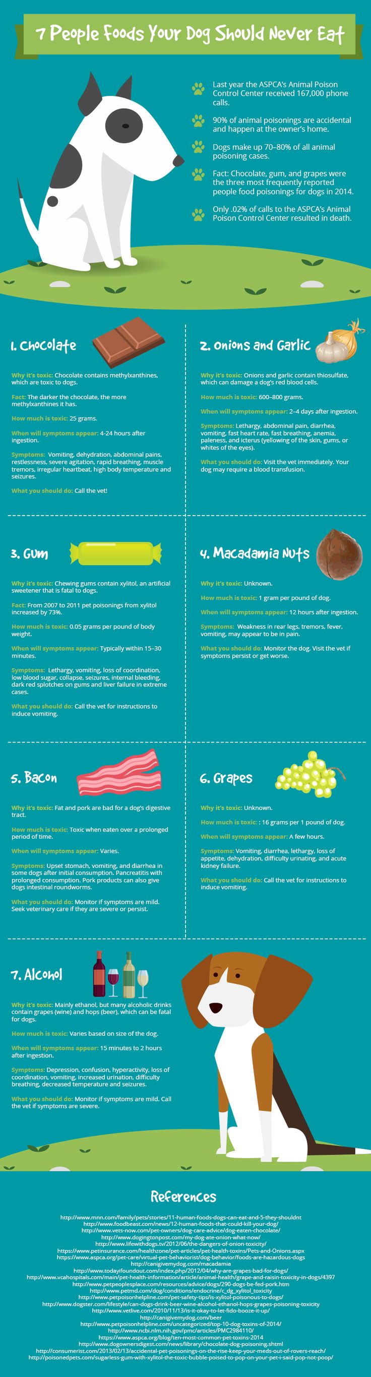 Safe And Toxic Food For Dogs Toxic Foods For Dogs Dog Safe Food Human Food For Dogs