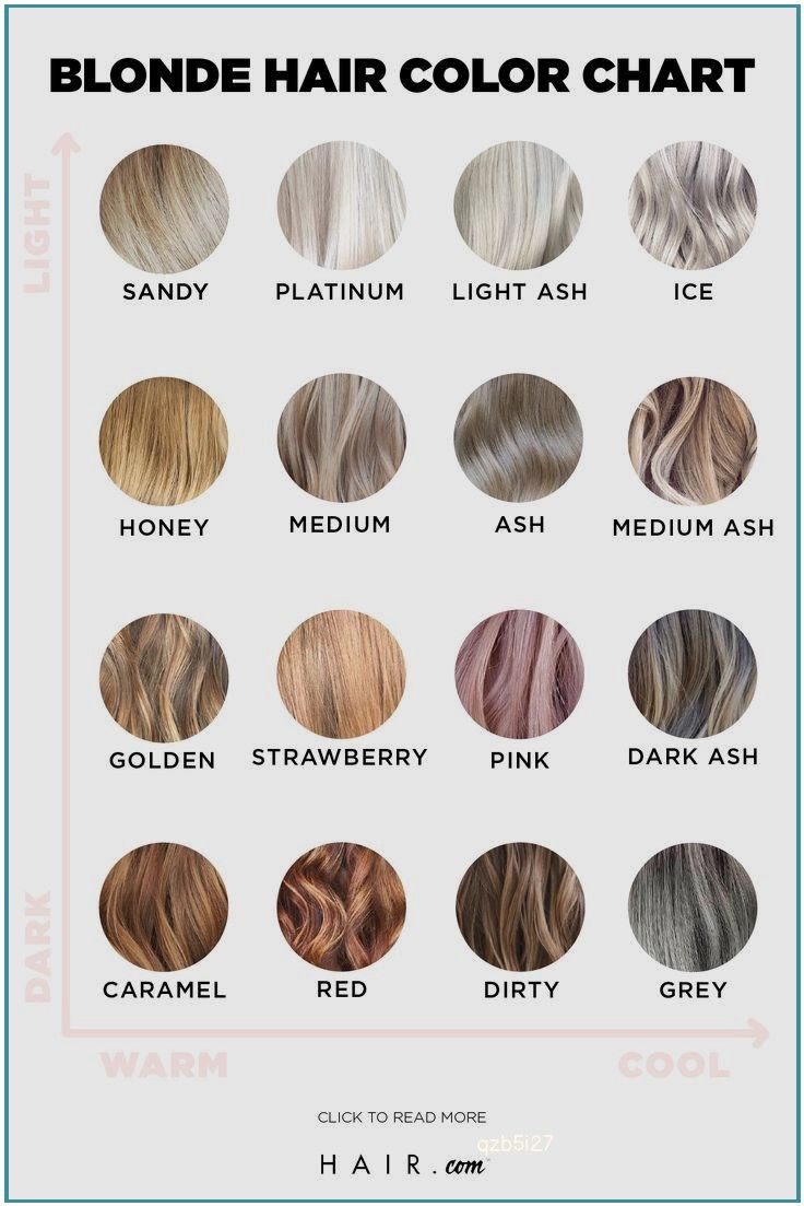 Blonde Hair Color Chart Blonde Hair Color Chart Hair Color Chart Blonde Hair Shades