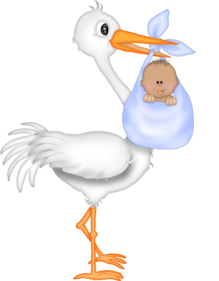 Stork Decorations For Cakes Stork Decorations For Cakes
