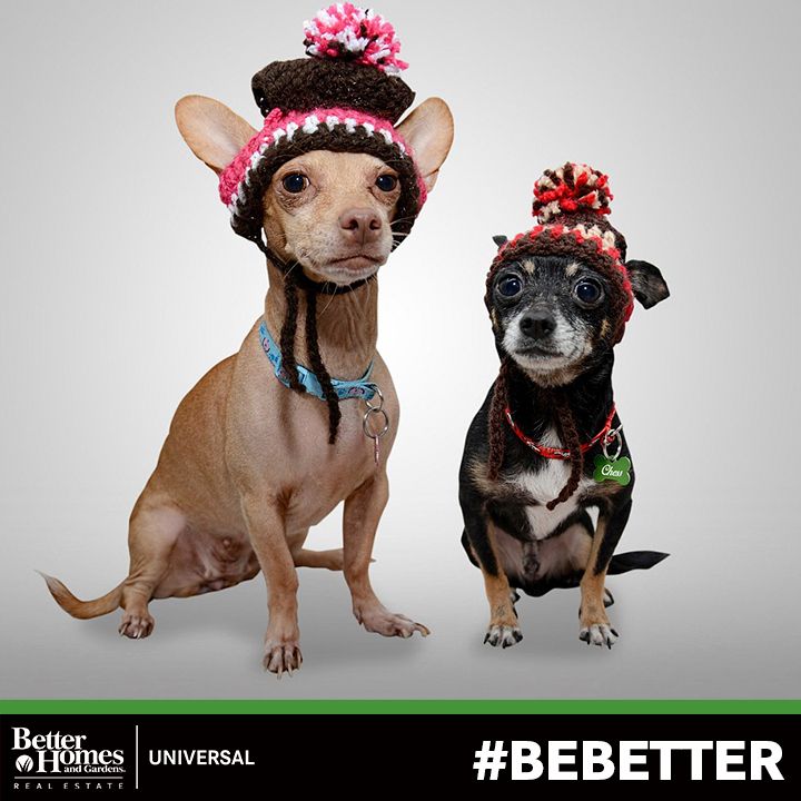 All Dressed Up And Nowhere To Go We Can Help You Find A New Home