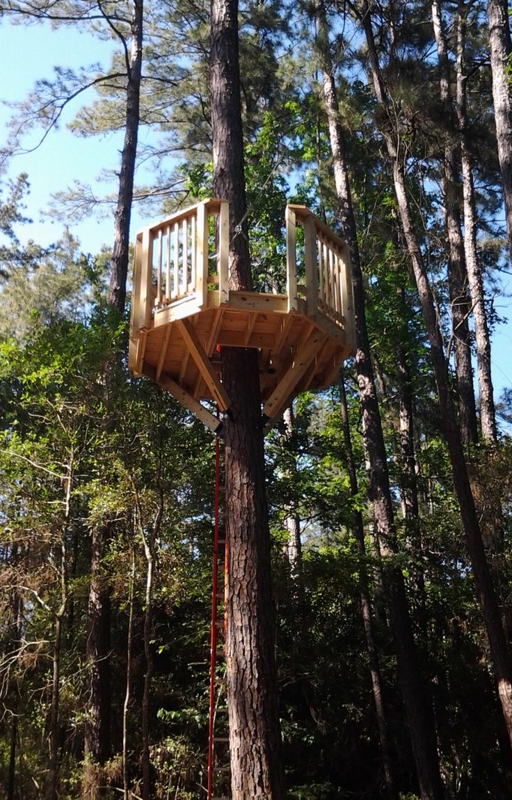 A Octagon Tree Platform With A Zipline Exit Client A Octagon Tree Platform With A Zipline Exit Client