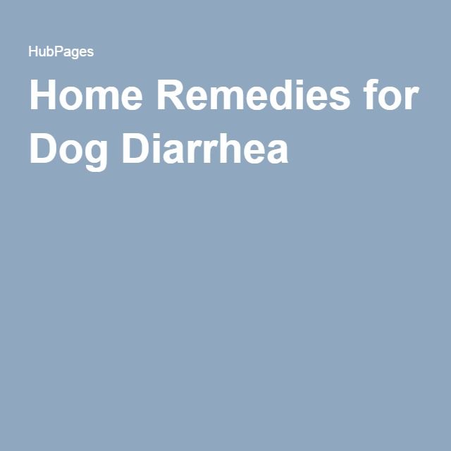 Herbal remedy for dog with diarrhea