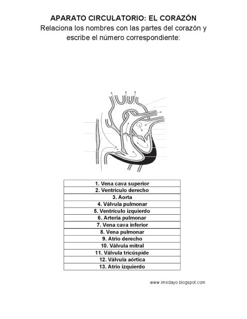 165 best PROYECTOS INTERESANTES NIÑOS images on Pinterest Funny - copy tabla periodica de los elementos con nombres y valencias 165 best PROYECTOS INTERESANTES NIÑOS images on Pinterest Funny - copy tabla periodica de los elementos con nombres y valencias