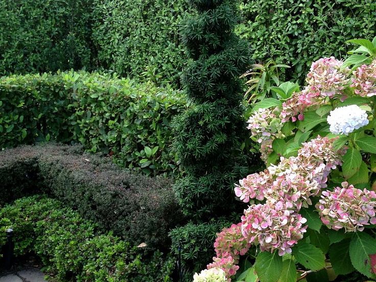 Garden Design Kerry 90 best thorndon ~ designedhedge images on pinterest | formal Garden Design Kerry 90 best thorndon ~ designedhedge images on pinterest | formal