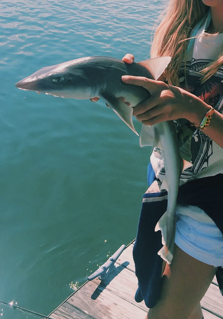BaBy ShArK 🦈 doo doo doo do doo&hellip;.. snapped this pic and