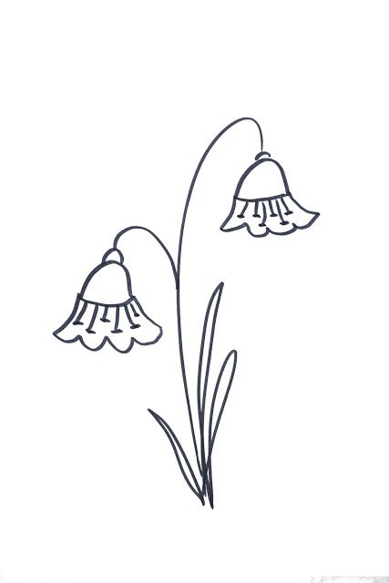 Simple Line Drawing Of A Flower : Easy pictures to draw of flowers pixshark