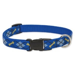9 best Boy Puppy Collars images on Pinterest | Puppy ...