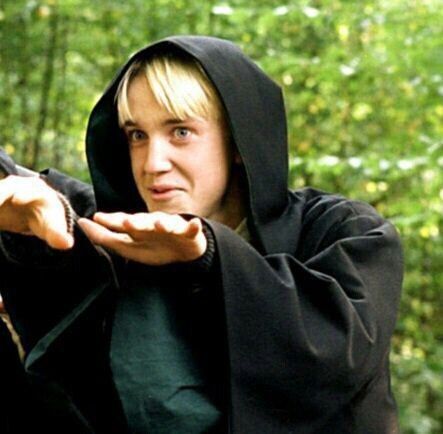 Looks like draco dressed up as a dementor for Halloween 🎃 ...