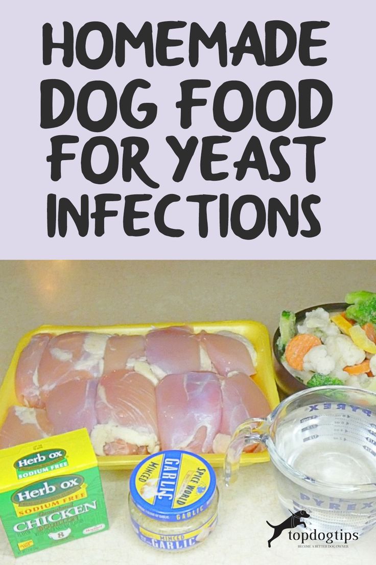 Recipe Homemade Dog Food For Yeast Infections Dog Yeast Infection recipe-homemade-dog-food-for-yeast-infections-dog-yeast-infection