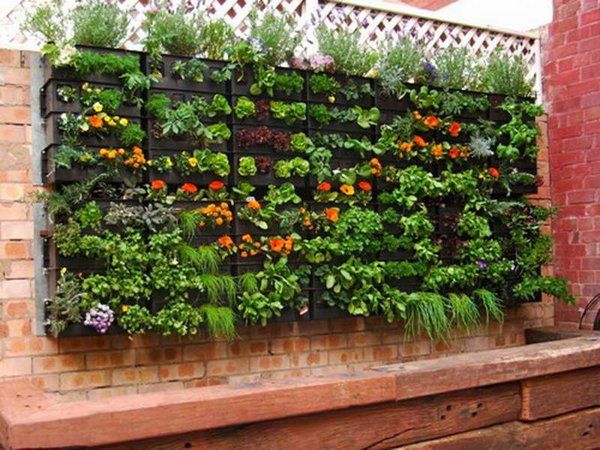 Herb Garden Ideas For A Balcony best 25+ vertical herb gardens ideas on pinterest | wall gardens Herb Garden Ideas For A Balcony best 25+ vertical herb gardens ideas on pinterest | wall gardens