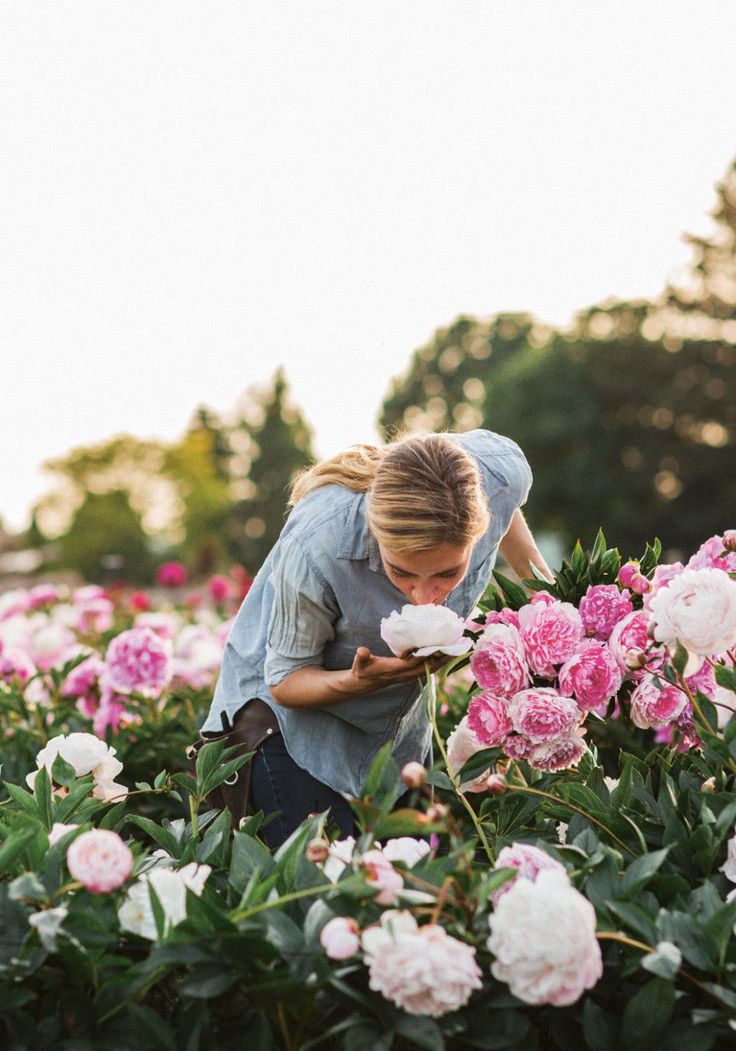4 Things Every Peony Fan Needs to Know