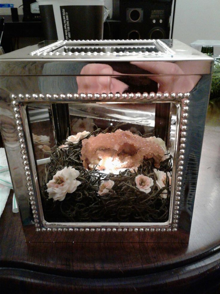 Not the best picture, but this is a prairie dog skull that Not the best picture, but this is a prairie dog skull that
