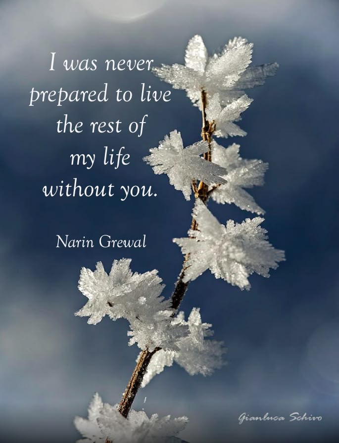 Quotes About Death Of A Loved One Captivating 399 Best Deep Quotes Images On Pinterest Grief Knitting And Quote Quotes About Death Of A Loved One Amusing 399 Best Deep Quotes Images On Pinterest Grief Knitting And Quote
