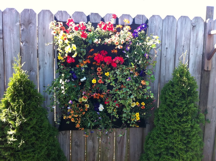 Garden Ideas To Hide Fence 46 best hiding ugly fencing images on pinterest | garden ideas Garden Ideas To Hide Fence 46 best hiding ugly fencing images on pinterest | garden ideas