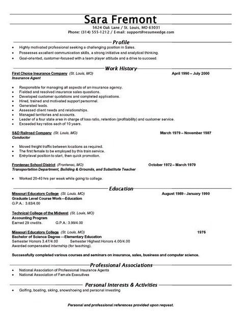 a professional resume format