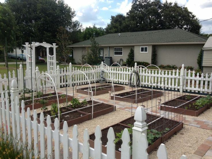Vegetable Garden Ideas For Minnesota 19 best garden ideas images on pinterest | veggie gardens Vegetable Garden Ideas For Minnesota 19 best garden ideas images on pinterest | veggie gardens