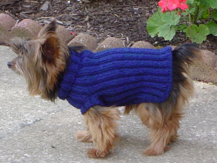 Crochet Dog Coat Http Lomets Com Knitted Dog Sweater Pattern Crochet Dog Sweater Knitting Patterns For Dogs