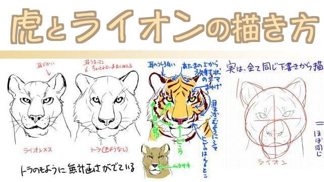 屈強な動物として名高い トラ 百獣の王の二つ名を持つ ライオン 力強い動物のイメージを持っているトラとライオンを リアル にかっこよく描きたいと思っている方は多いと思います そこで今回は トラとライオンの描き方をtwitterにまとめていらっしゃった Gw 屈強な動物として名高い トラ 百獣の王の二つ名を持つ ライオン 力強い動物のイメージを持っているトラとライオンを リアル にかっこよく描きたいと思っている方は多いと思います そこで今回は トラとライオンの描き方をtwitterにまとめていらっしゃった Gw