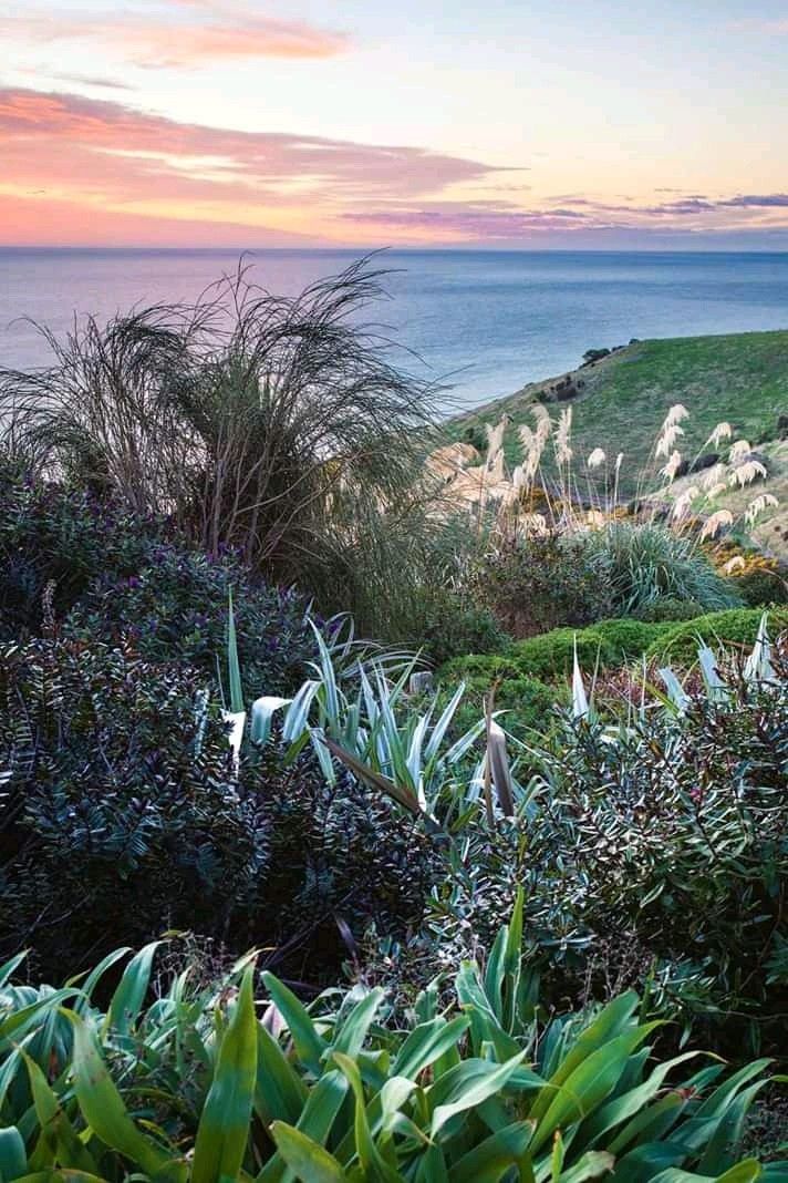 Pin by Shannon Andrew on Art | Ocean garden, Coastal gardens, Winter garden