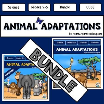 Primary homework help adaptations Primary homework help adaptations