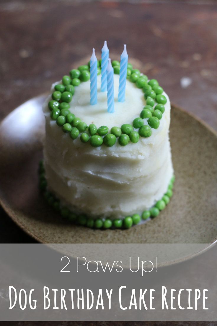 Dog Birthday Cake Recipe Meat Dog Birthday Cake Recipe Meat