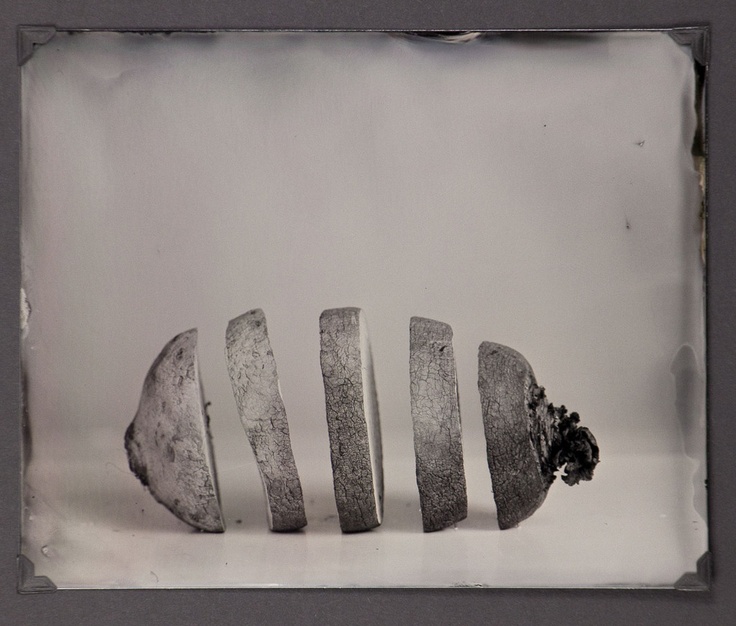 From The Compost Denis Roussel from-the-compost-denis-roussel