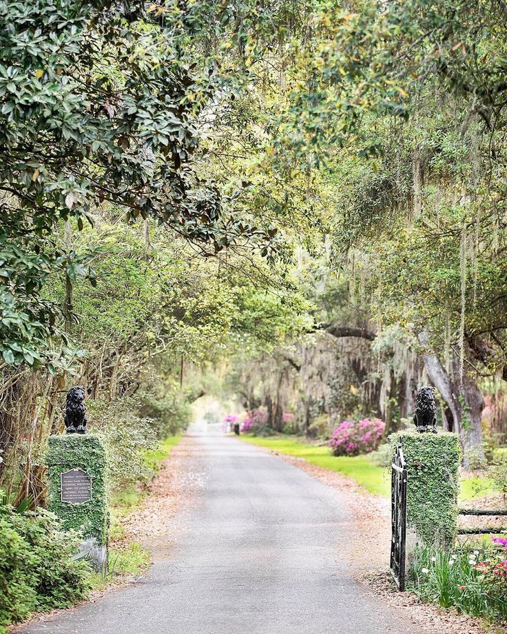 liberty hall plantation goose creek sc
