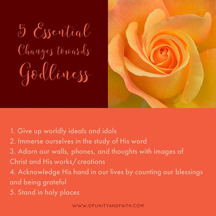 The 25+ best Charity evaluation ideas on Pinterest Charitable - charity evaluation The 25+ best Charity evaluation ideas on Pinterest Charitable - charity evaluation