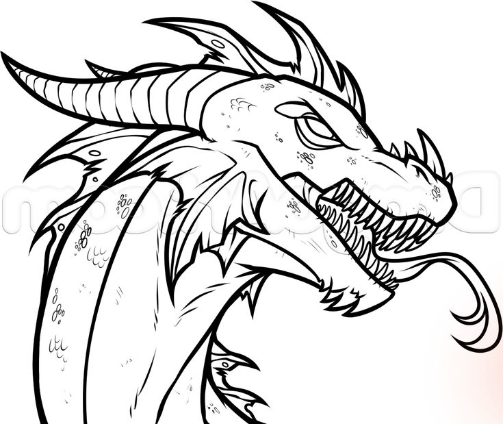 dragon sketch head simple dragon sketch head simple