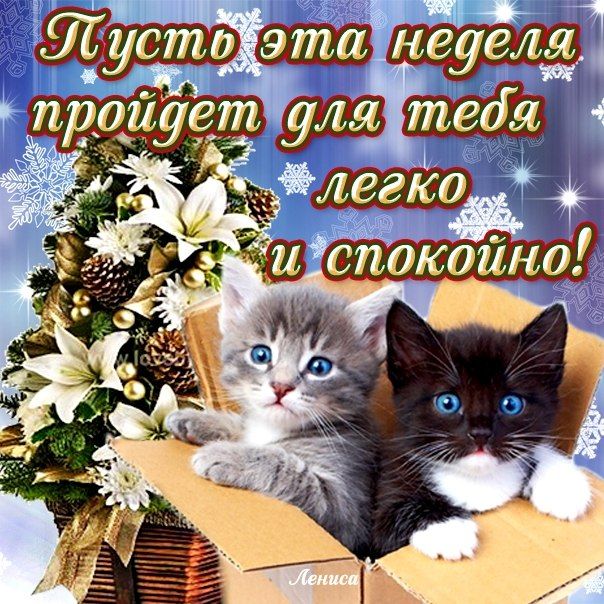 Дочка, открытка с хорошим началом недели