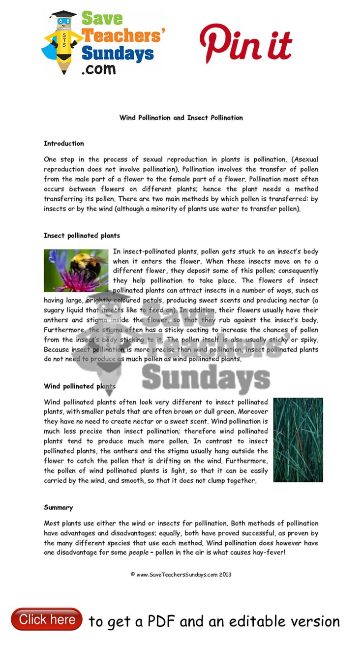lesson plan in christian living education You are warmly invited to participate in my offering, living education i will share about our teen community, tbg teens, as well as present an immersion lesson in fact, it loops back around to mason's ideas on right thinking, the capacities of i am a wife, mother, christian, and passionate practitioner of the charlotte. lesson plan in christian living education You are warmly invited to participate in my offering, living education i will share about our teen community, tbg teens, as well as present an immersion lesson in fact, it loops back around to mason's ideas on right thinking, the capacities of i am a wife, mother, christian, and passionate practitioner of the charlotte.