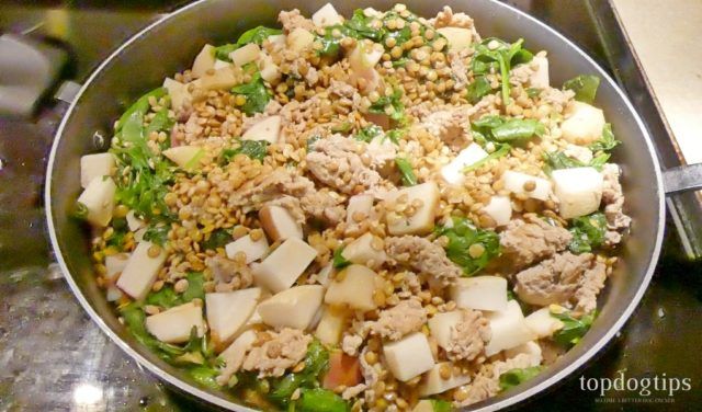 Recipe Turkey Stir Fry Dog Food For Allergies Dog Food Recipes