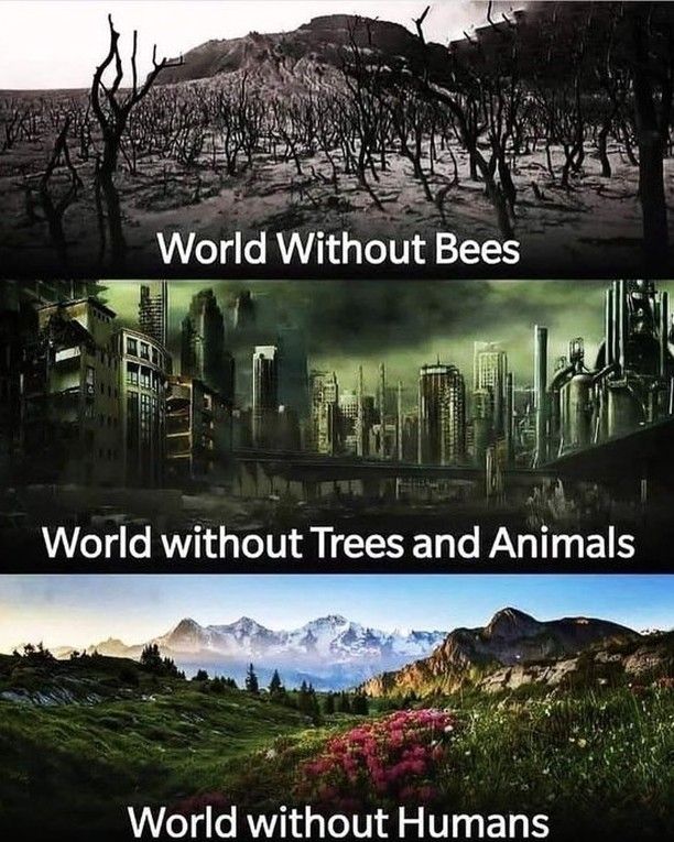 8 Billion Trees On Instagram We Can Do Better For Our Home Because Without Us Earth Would Thrive Let S Make It Thrive With Us In 2021 World Human Nature