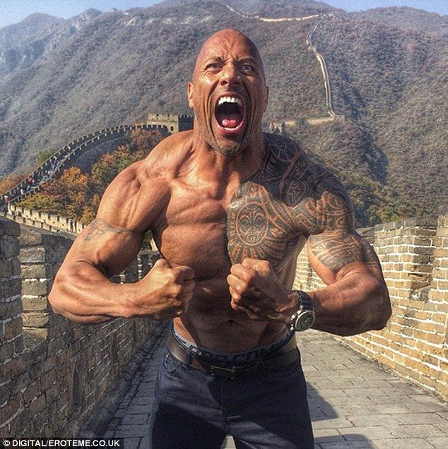 Pin on Dwayne "The Rock"