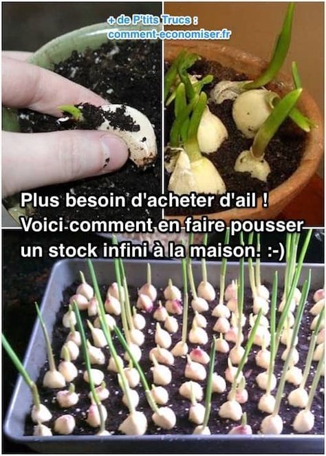 25 best jardinage images on Pinterest Vegetable garden, Vegetables - a quoi faire attention quand on achete une maison 25 best jardinage images on Pinterest Vegetable garden, Vegetables - a quoi faire attention quand on achete une maison