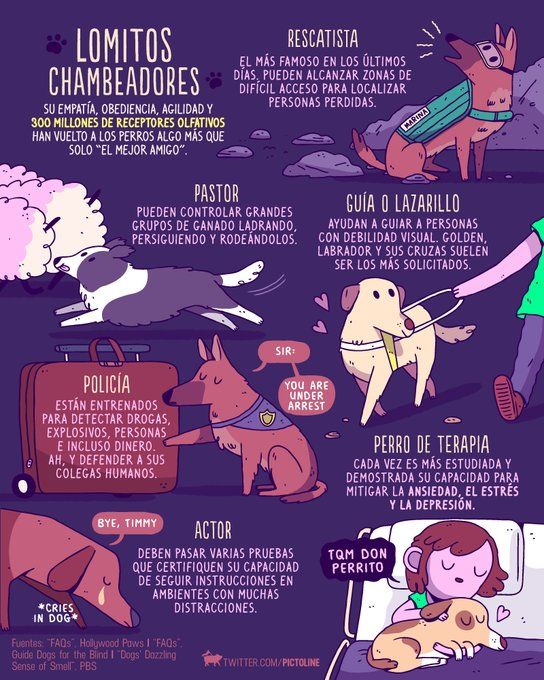 27 best AG - Infográficos images on Pinterest Infographics - fresh grupos de la tabla periodica unam 27 best AG - Infográficos images on Pinterest Infographics - fresh grupos de la tabla periodica unam