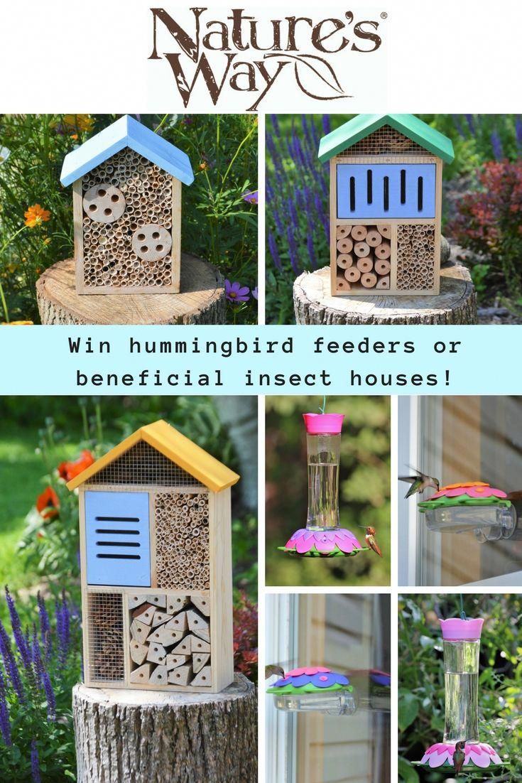 Enter To Win One Of Two Prize Packages From Nature's Way Bird Enter to win one of two prize packages from Nature's Way Bird Products! Winner #1 will win four So Real Nectar Feeders. These feeders showcase a unique ... - Enter To Win One Of Two Prize Packages From Nature's Way Bird