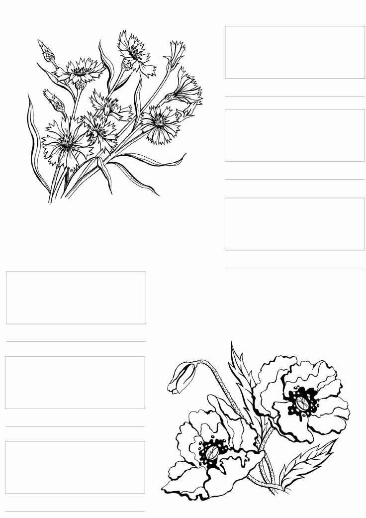 Coloring Flowers With Copic Markers Beautiful Copic Coloring Flowers In 2020 Copic Markers, Copic Markers Tutorial, Copic Color Chart - Coloring Flowers With Copic Markers Beautiful Copic Coloring Flowers In 2020 Copic Markers, Copic Markers Tutorial, Copic Color Chart