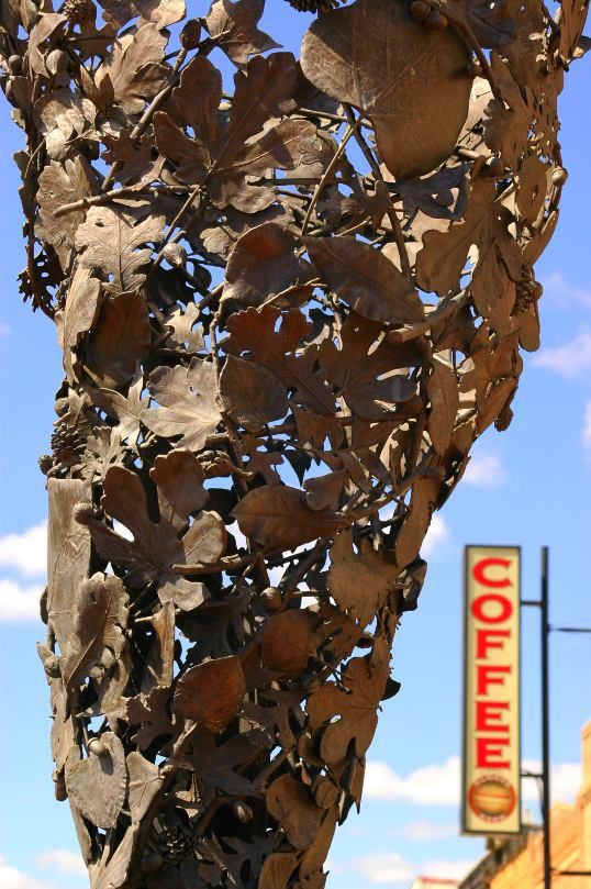 199 best denton tx images on pinterest denton texas all star and band denton county public works
