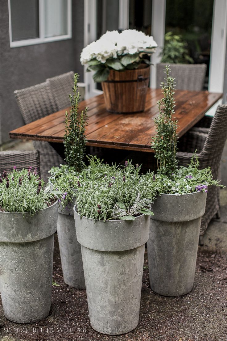Best Large Outdoor Planters Ideas On Pinterest Big Planters - Outdoor Extravaganza Link Party Large Outdoor Planterspotted best large outdoor planters ideas on pinterest big planters - outdoor extravaganza link party large outdoor planterspotted